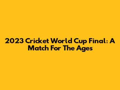 2023 Cricket World Cup Final: A Match For The Ages