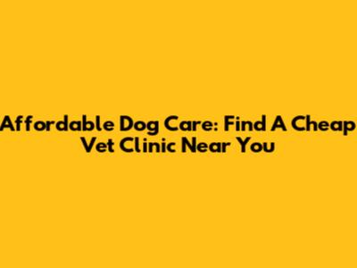 Affordable Dog Care: Find A Cheap Vet Clinic Near You