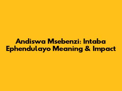 Andiswa Msebenzi: Intaba Ephendulayo Meaning & Impact