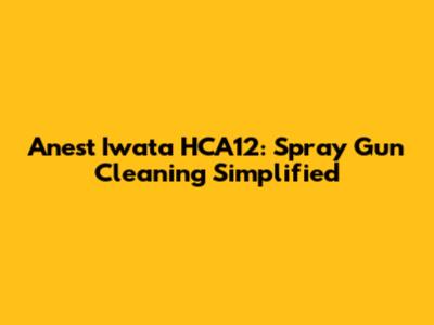 Anest Iwata HCA12: Spray Gun Cleaning Simplified