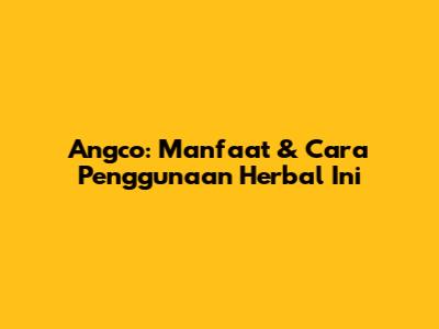 Angco: Manfaat & Cara Penggunaan Herbal Ini