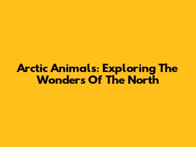 Arctic Animals: Exploring The Wonders Of The North