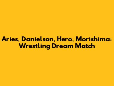 Aries, Danielson, Hero, Morishima: Wrestling Dream Match