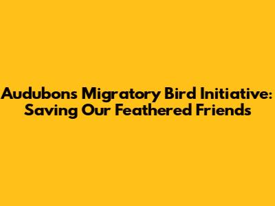 Audubon's Migratory Bird Initiative: Saving Our Feathered Friends