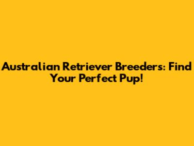 Australian Retriever Breeders: Find Your Perfect Pup!