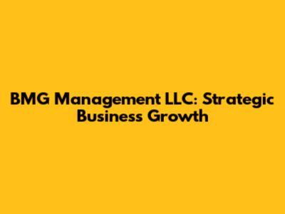 BMG Management LLC: Strategic Business Growth