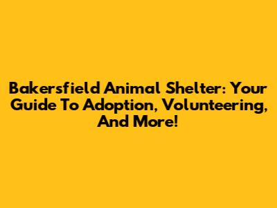 Bakersfield Animal Shelter: Your Guide To Adoption, Volunteering, And More!