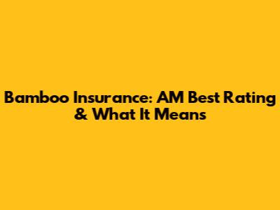 Bamboo Insurance: AM Best Rating & What It Means