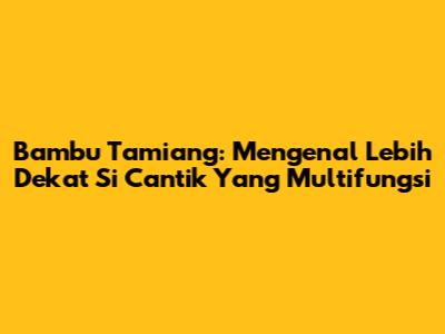 Bambu Tamiang: Mengenal Lebih Dekat Si Cantik Yang Multifungsi