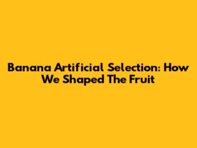 Banana Artificial Selection: How We Shaped The Fruit