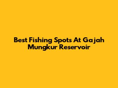 Best Fishing Spots At Gajah Mungkur Reservoir