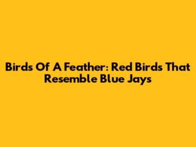 Birds Of A Feather: Red Birds That Resemble Blue Jays