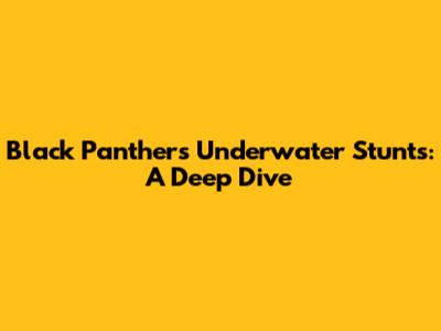 Black Panther's Underwater Stunts: A Deep Dive