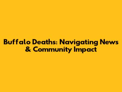 Buffalo Deaths: Navigating News & Community Impact