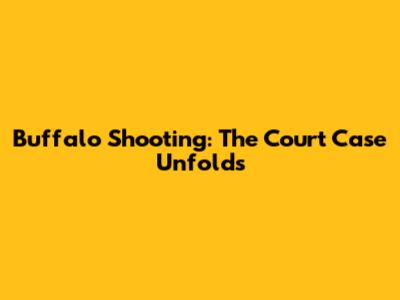 Buffalo Shooting: The Court Case Unfolds