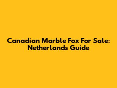 Canadian Marble Fox For Sale: Netherlands Guide