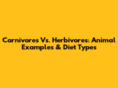 Carnivores Vs. Herbivores: Animal Examples & Diet Types