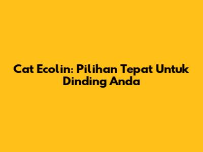 Cat Ecolin: Pilihan Tepat Untuk Dinding Anda