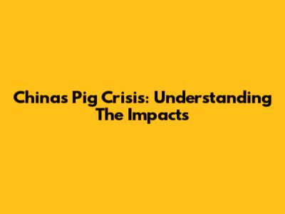 China's Pig Crisis: Understanding The Impacts
