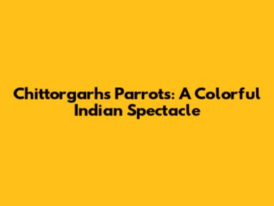 Chittorgarh's Parrots: A Colorful Indian Spectacle