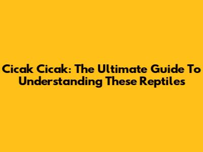Cicak Cicak: The Ultimate Guide To Understanding These Reptiles