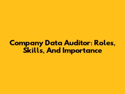 Company Data Auditor: Roles, Skills, And Importance