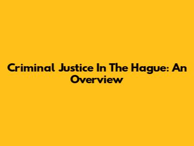 Criminal Justice In The Hague: An Overview