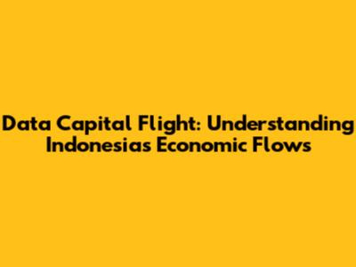 Data Capital Flight: Understanding Indonesia's Economic Flows