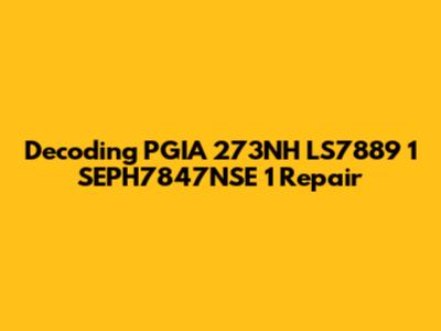 Decoding PGIA 273NH LS7889 1 SEPH7847NSE 1 Repair