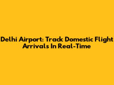 Delhi Airport: Track Domestic Flight Arrivals In Real-Time