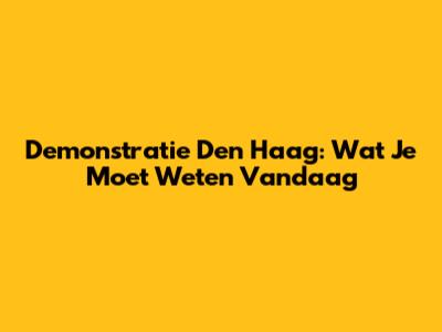 Demonstratie Den Haag: Wat Je Moet Weten Vandaag