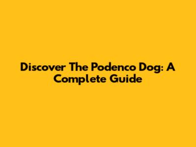 Discover The Podenco Dog: A Complete Guide