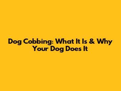 Dog Cobbing: What It Is & Why Your Dog Does It