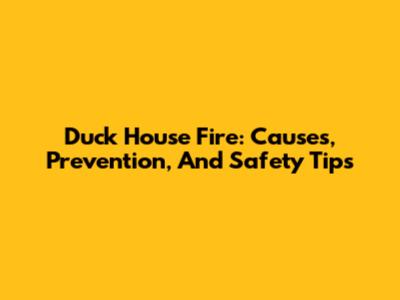 Duck House Fire: Causes, Prevention, And Safety Tips