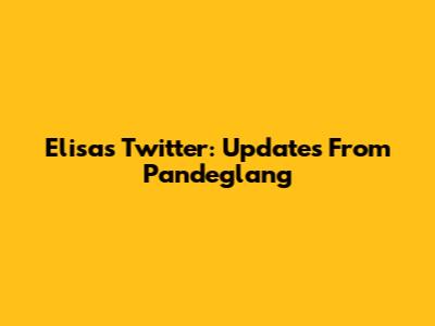 Elisa's Twitter: Updates From Pandeglang