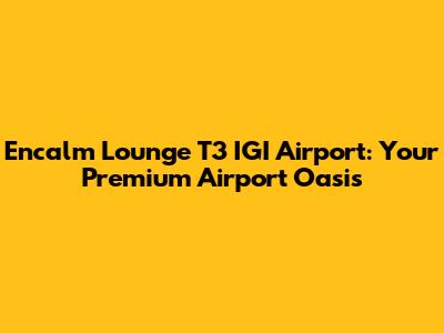 Encalm Lounge T3 IGI Airport: Your Premium Airport Oasis