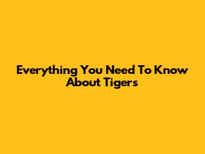 Everything You Need To Know About Tigers