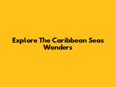 Explore The Caribbean Sea's Wonders