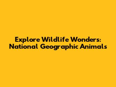Explore Wildlife Wonders: National Geographic Animals