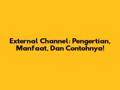 External Channel: Pengertian, Manfaat, Dan Contohnya!