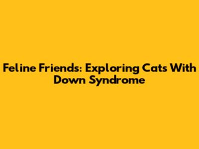 Feline Friends: Exploring Cats With Down Syndrome