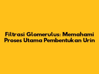 Filtrasi Glomerulus: Memahami Proses Utama Pembentukan Urin