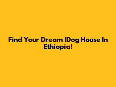 Find Your Dream IDog House In Ethiopia!