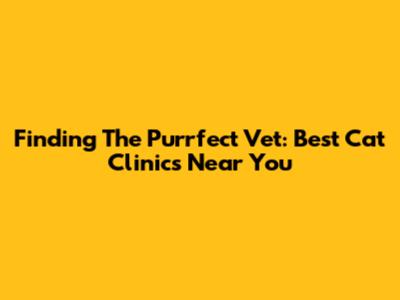 Finding The Purrfect Vet: Best Cat Clinics Near You