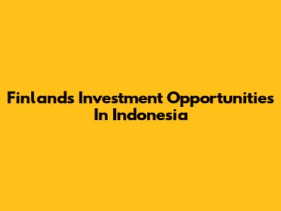 Finland's Investment Opportunities In Indonesia