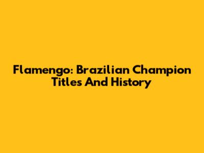 Flamengo: Brazilian Champion Titles And History