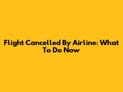 Flight Cancelled By Airline: What To Do Now
