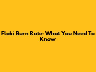 Floki Burn Rate: What You Need To Know