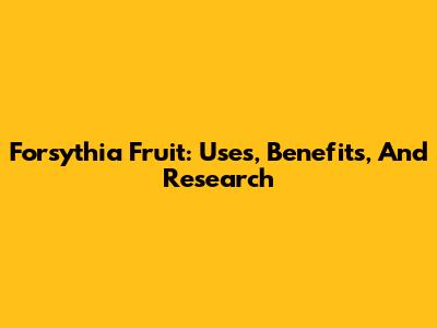 Forsythia Fruit: Uses, Benefits, And Research