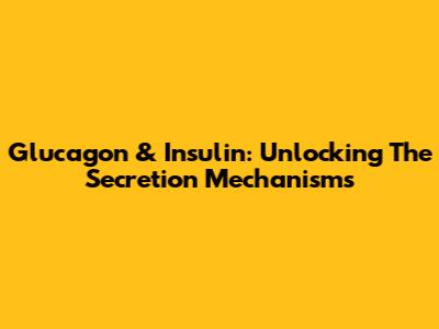 Glucagon & Insulin: Unlocking The Secretion Mechanisms